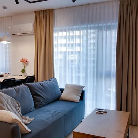 公寓 Luminosa - Smart Luxury In Aviatiei - Free Parking - Ev Station 布加勒斯特