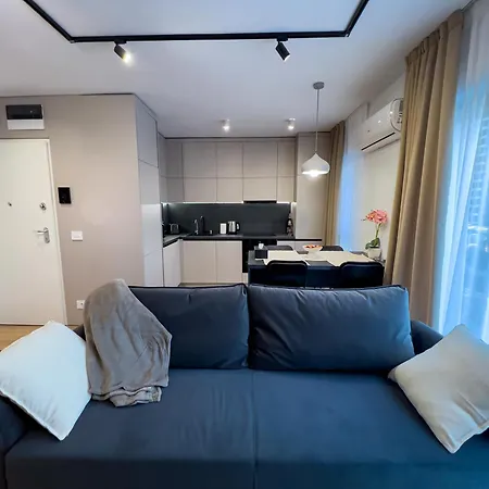 Luminosa - Smart Luxury In Aviatiei - Free Parking - Ev Station 公寓