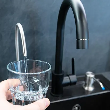 Luminosa - Smart Luxury In Aviatiei - Free Parking - Ev Station 公寓