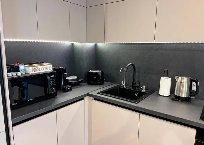 Luminosa - Smart Luxury In Aviatiei - Free Parking - Ev Station * بوخارست