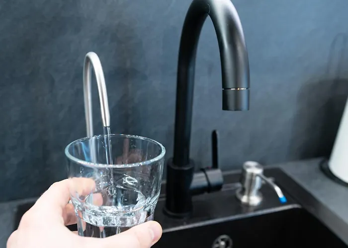 Luminosa - Smart Luxury In Aviatiei - Free Parking - Ev Station Apartamento